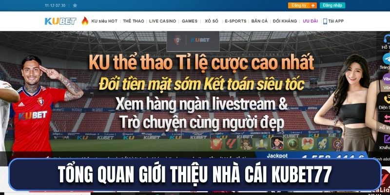 Tổng quan giới thiệu nhà cái Kubet77